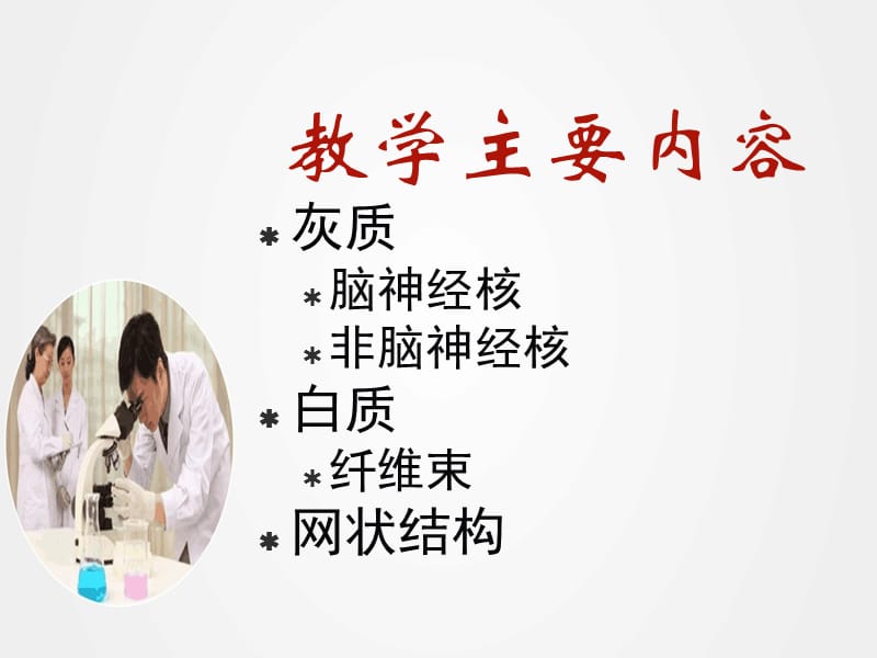 《局部解剖学脑干》ppt.ppt_第2页