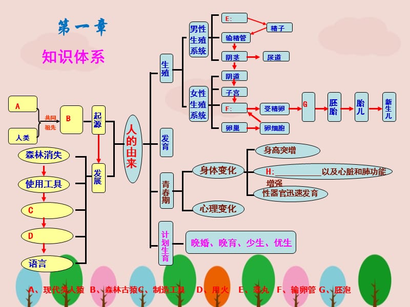 人教版七年级下册生物总复习ppt.ppt_第2页