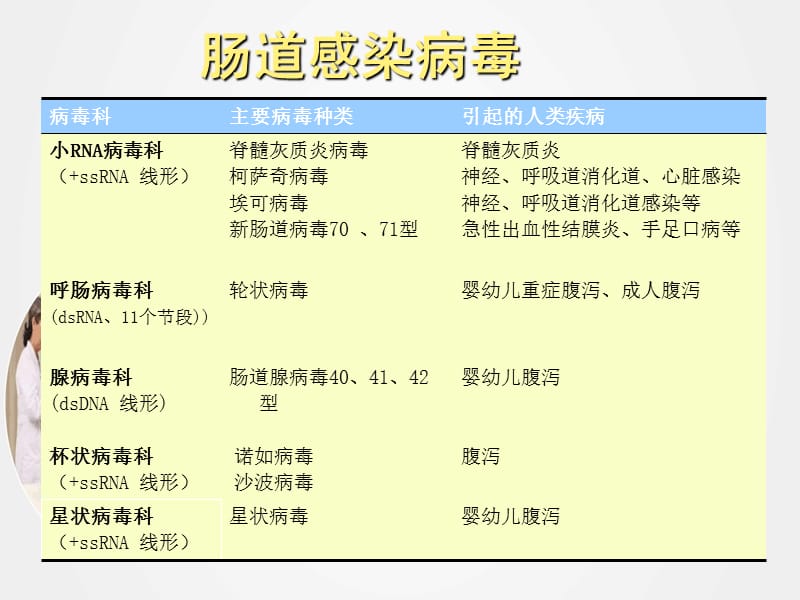 《肠道感染病毒》ppt (2).ppt_第2页