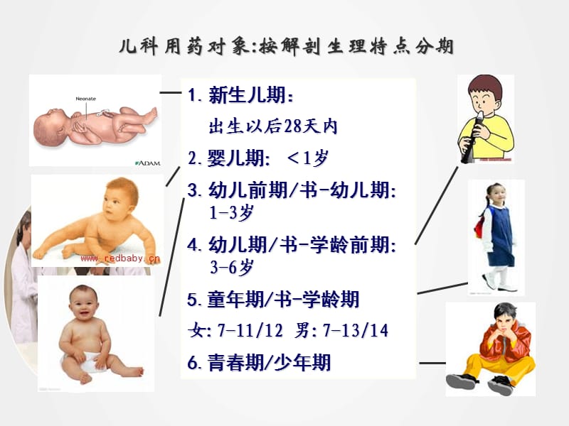 《儿科合理用药》教学课件ppt.ppt_第2页