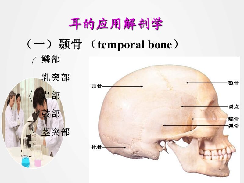 《耳的解剖学与生理学》ppt.ppt_第2页