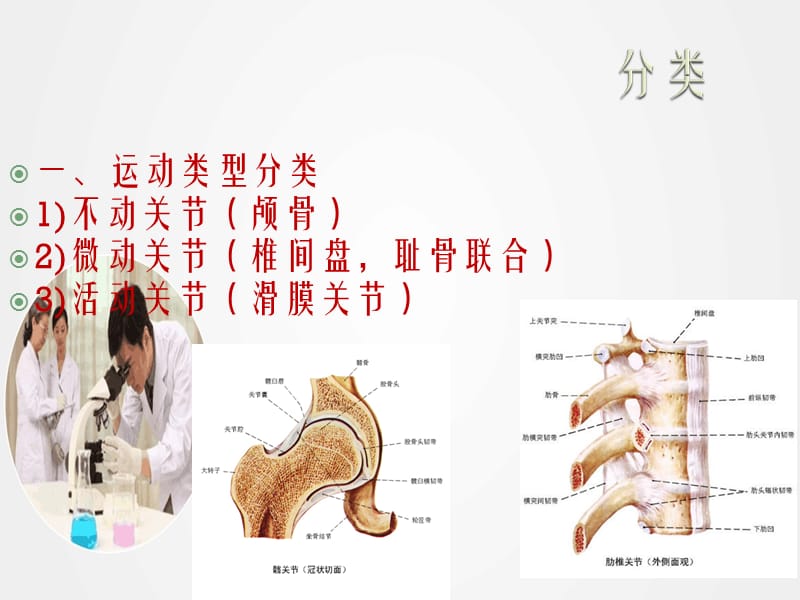 《关节基本知识》ppt.ppt_第3页