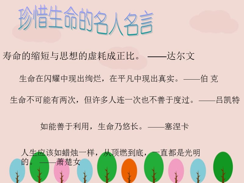 交通安全教育班会课件.ppt_第2页