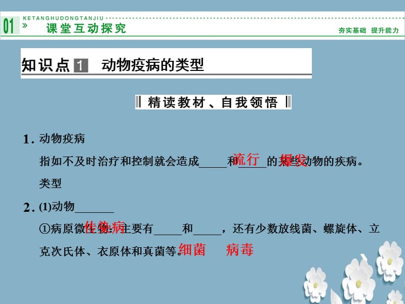 《动物疫病的控制》ppt.ppt_第3页