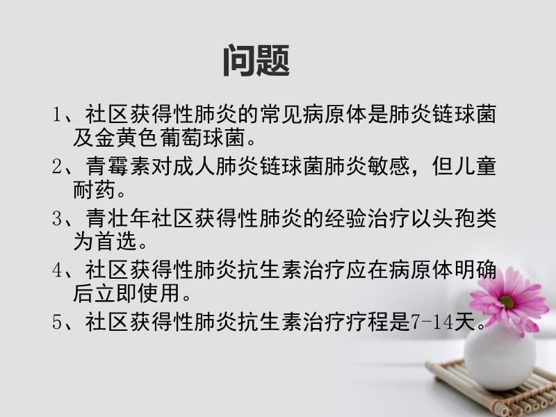 《社区获得性肺炎的经验治疗》ppt.ppt_第2页