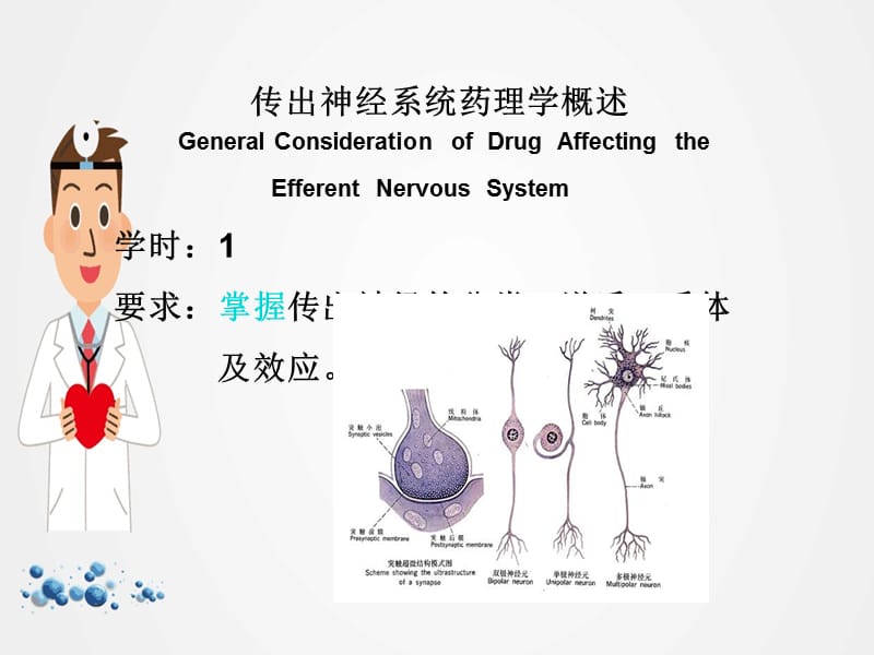 传出神经系统药理学概述教学课件ppt.ppt_第1页