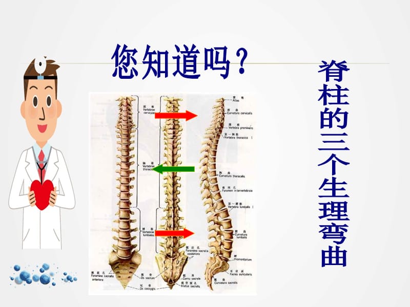 颈椎病的预防与保健ppt.ppt_第3页