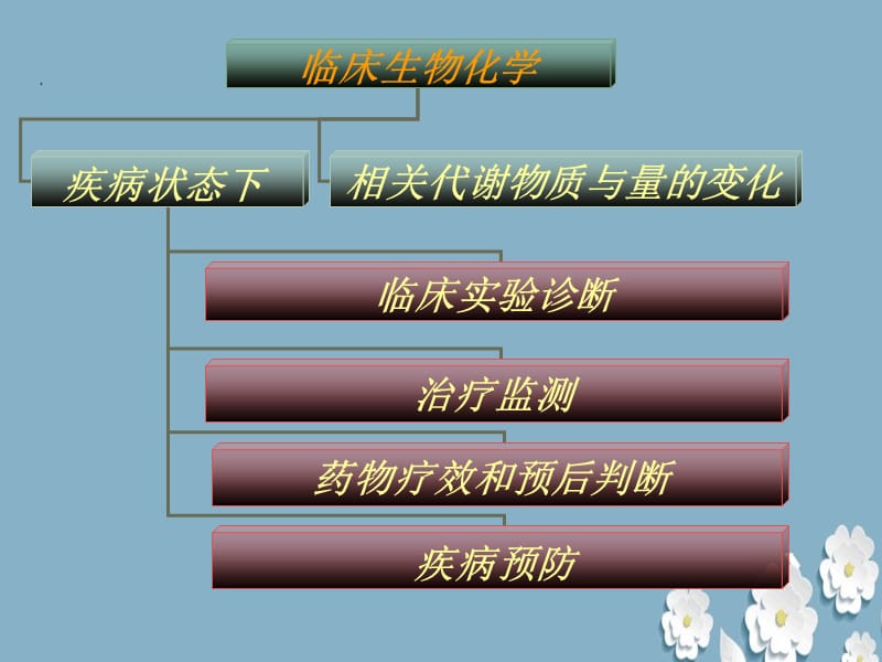 《临床生物化学检验》ppt.ppt_第3页