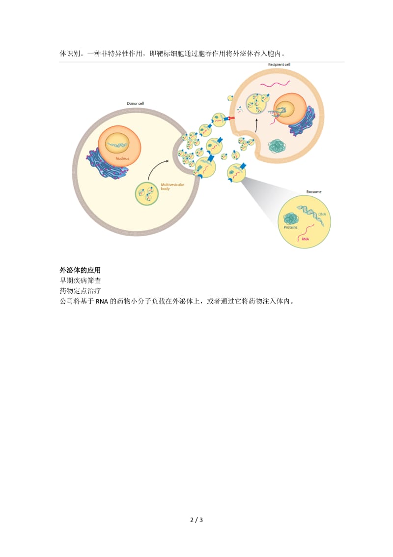 外泌体概述.doc_第2页