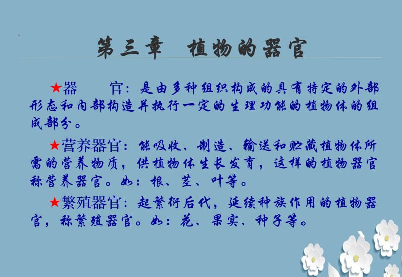 《植物的器官》教学课件ppt.ppt_第1页