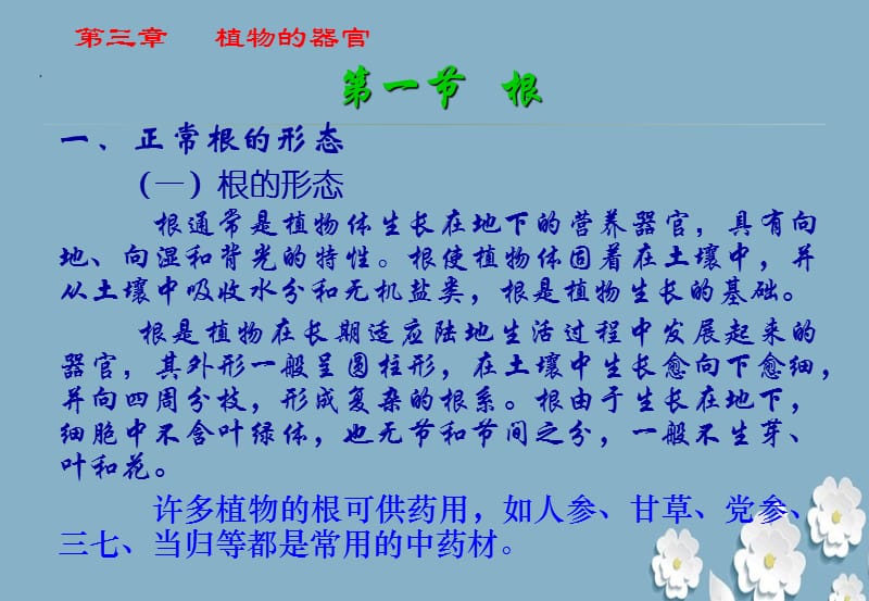 《植物的器官》教学课件ppt.ppt_第3页