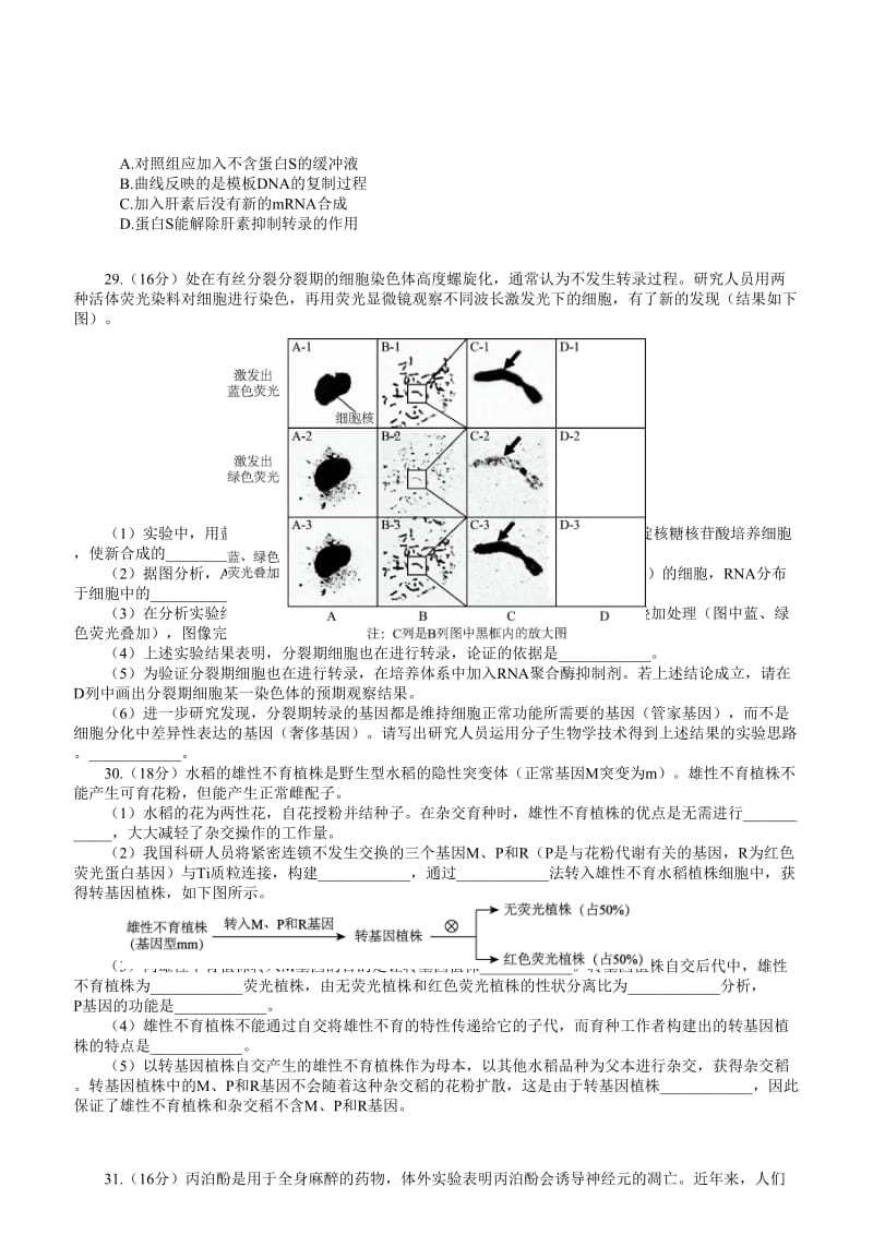 高三理综适应性练习试题及答案.doc_第2页