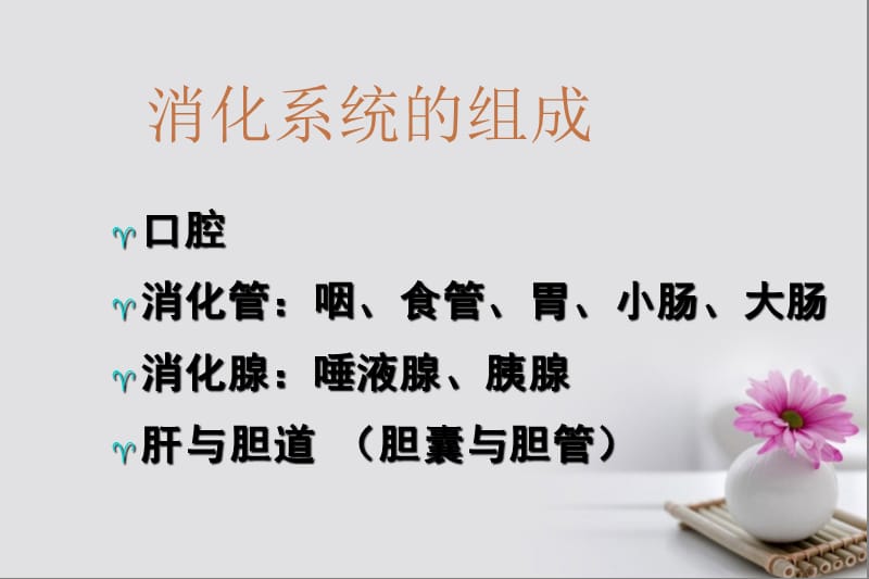 《消化系统疾病》教学课件ppt.ppt_第2页