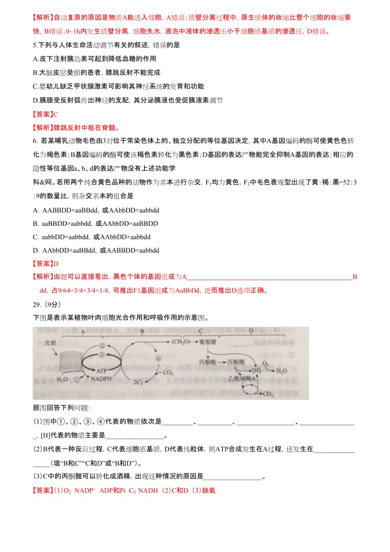 高考全国II卷理综生物试题(卷)(解析版).doc_第2页