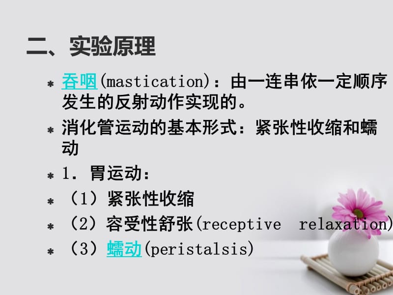 《消化管的运动》ppt.ppt_第3页