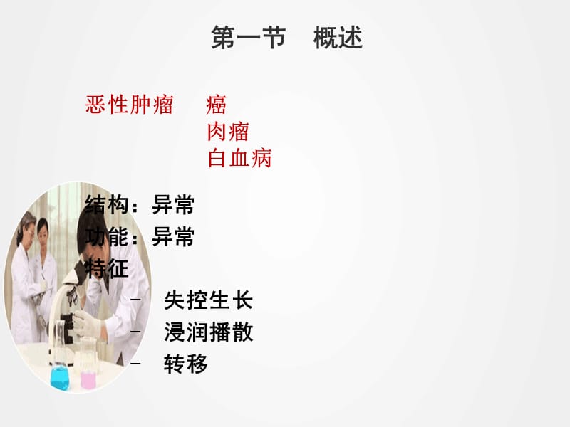 《抗恶性肿瘤药物》ppt.ppt_第2页