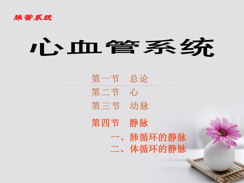 《心血管系统》教学课件ppt.ppt_第1页