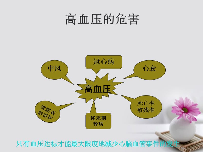 《社区高血压的防治》ppt.ppt_第3页