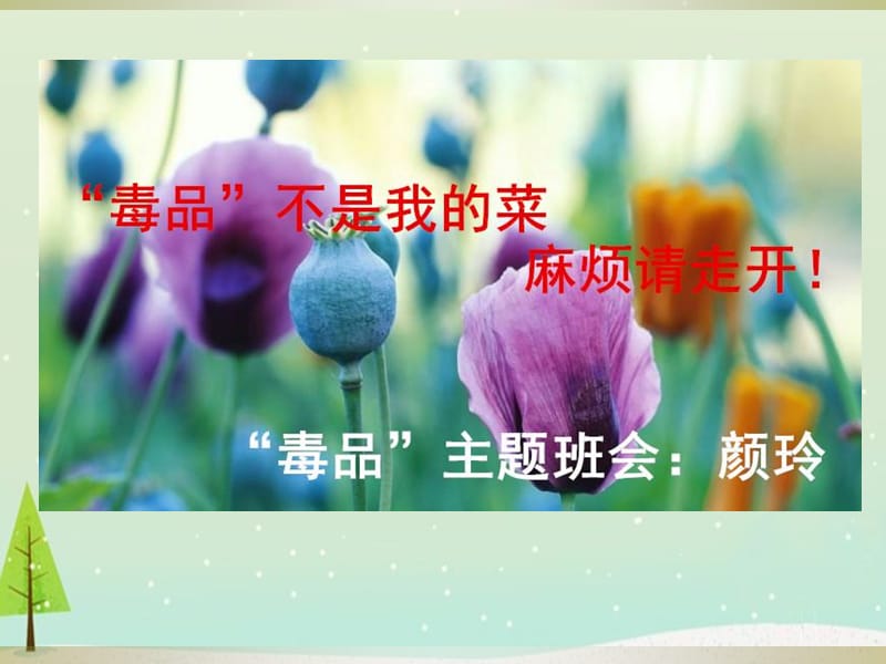 禁毒主题班会课件PPT.ppt_第1页