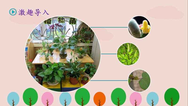 人教版三年级语文下册习作《我的植物朋友》PPT课件.pptx_第2页
