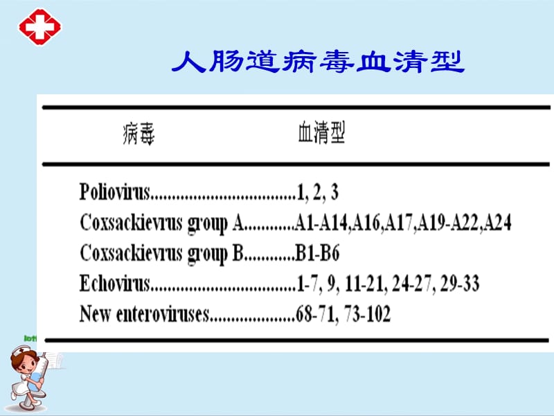 手足口病教学课件ppt.ppt_第3页