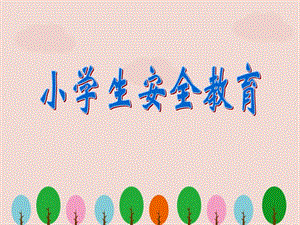 小學(xué)生安全教育 (4)ppt.ppt