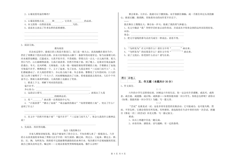 聊城市重点小学小升初语文每日一练试题 附答案.doc_第3页