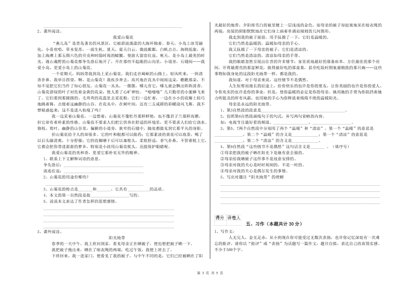 潮州市实验小学六年级语文【下册】开学检测试题 含答案.doc_第3页