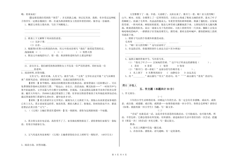 湖南省小升初语文提升训练试题B卷 附答案.doc_第3页