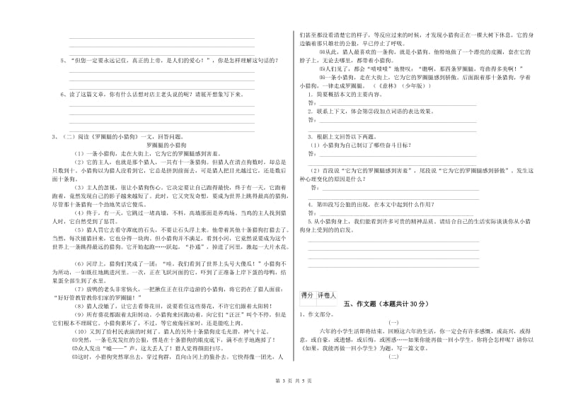 石嘴山市重点小学小升初语文模拟考试试题 含答案.doc_第3页