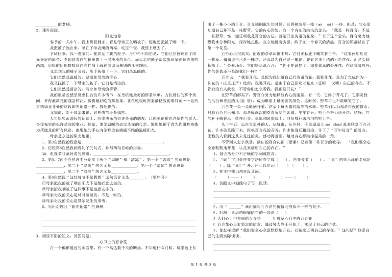 聊城市重点小学小升初语文自我检测试卷 附答案.doc_第3页