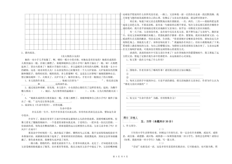 甘孜藏族自治州实验小学六年级语文下学期自我检测试题 含答案.doc_第3页