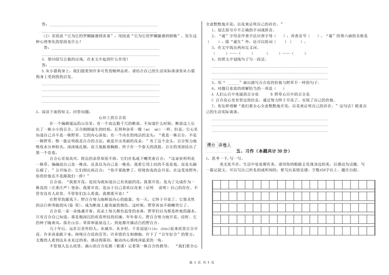 芜湖市实验小学六年级语文下学期强化训练试题 含答案.doc_第3页