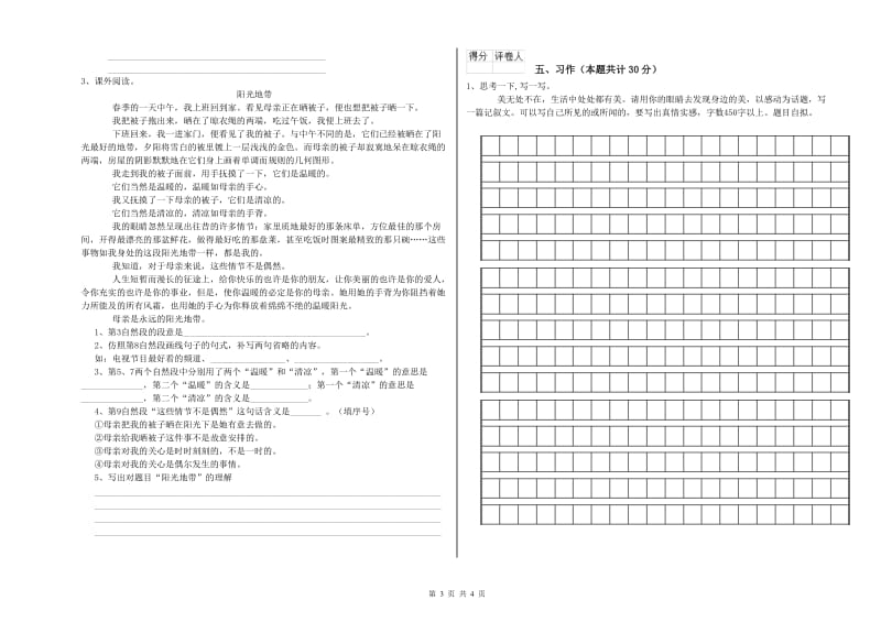 漳州市实验小学六年级语文上学期能力提升试题 含答案.doc_第3页