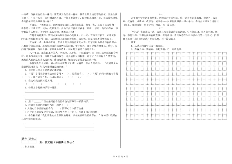 甘肃省重点小学小升初语文考前检测试卷D卷 附解析.doc_第3页