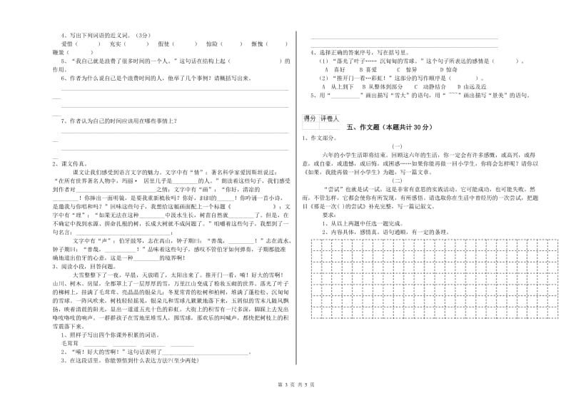 湖南省小升初语文模拟考试试卷D卷 附答案.doc_第3页