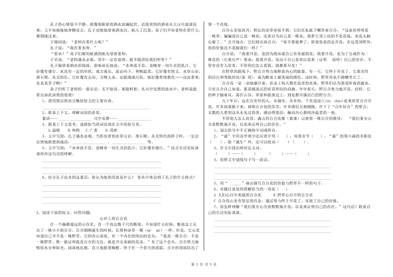 湘教版六年级语文下学期全真模拟考试试卷D卷 含答案.doc_第3页