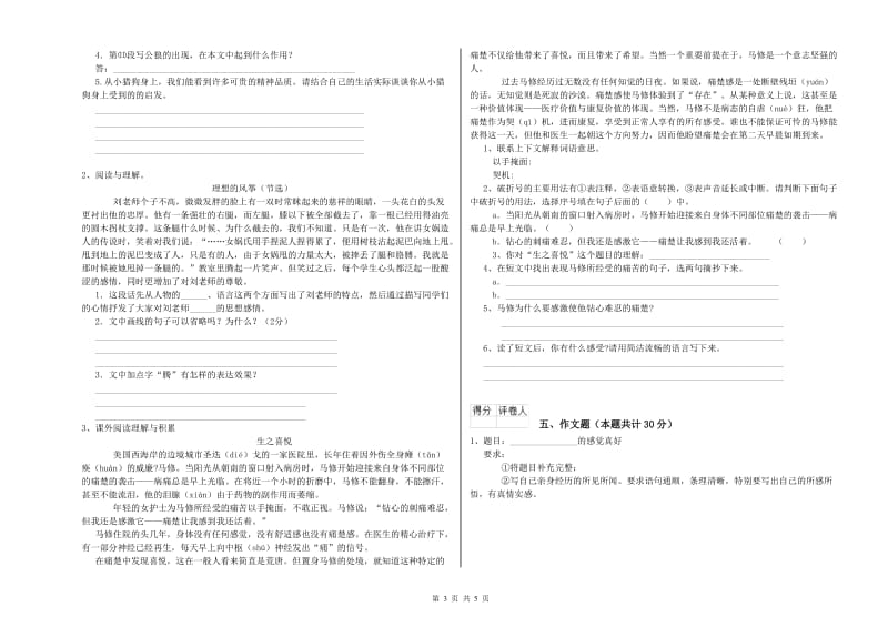 甘肃省重点小学小升初语文能力测试试卷A卷 附解析.doc_第3页