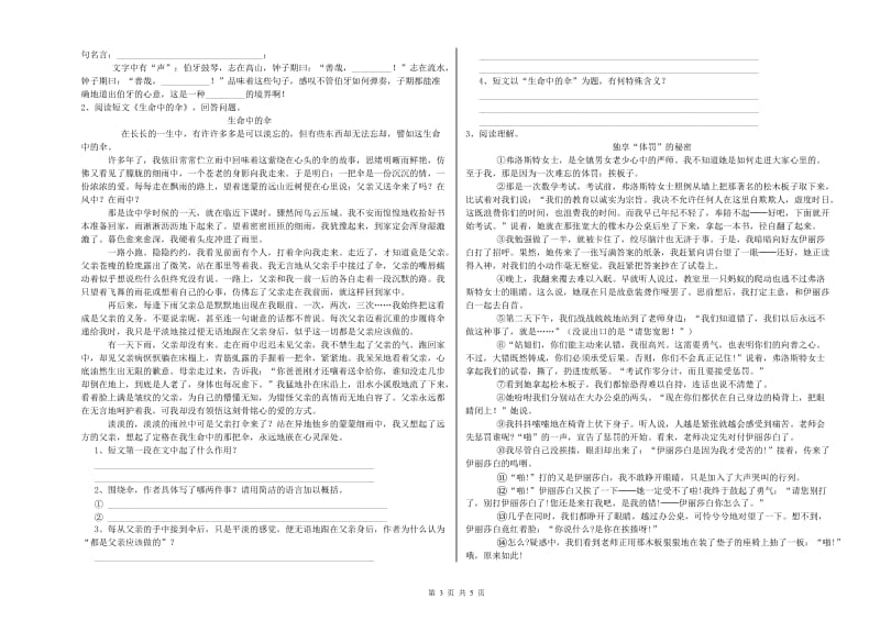 湖州市重点小学小升初语文能力检测试卷 含答案.doc_第3页