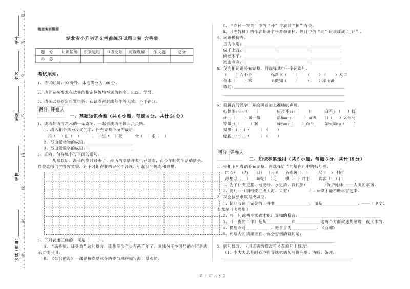 湖北省小升初语文考前练习试题B卷 含答案.doc_第1页