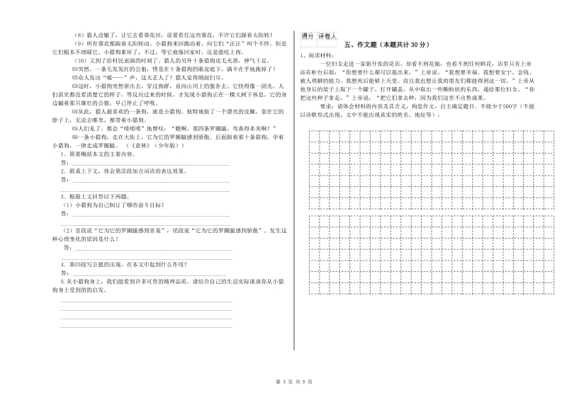 湖南省重点小学小升初语文能力提升试题 附解析.doc_第3页