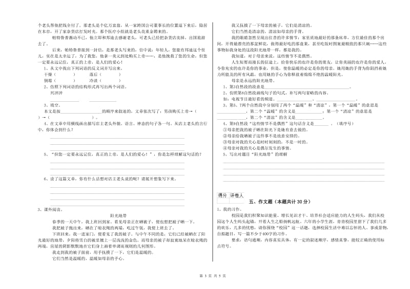 焦作市重点小学小升初语文强化训练试题 含答案.doc_第3页