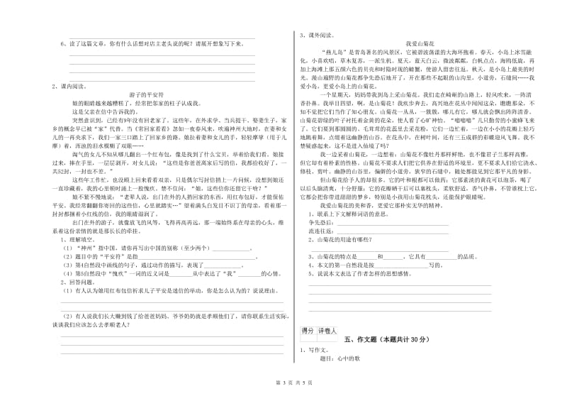 福建省小升初语文能力提升试卷C卷 附解析.doc_第3页