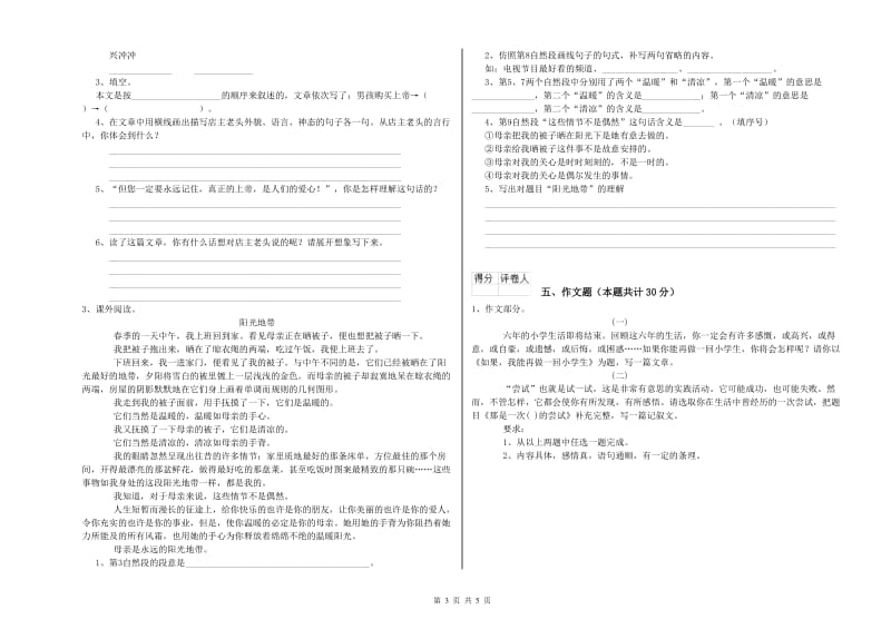 牡丹江市重点小学小升初语文全真模拟考试试题 附解析.doc_第3页