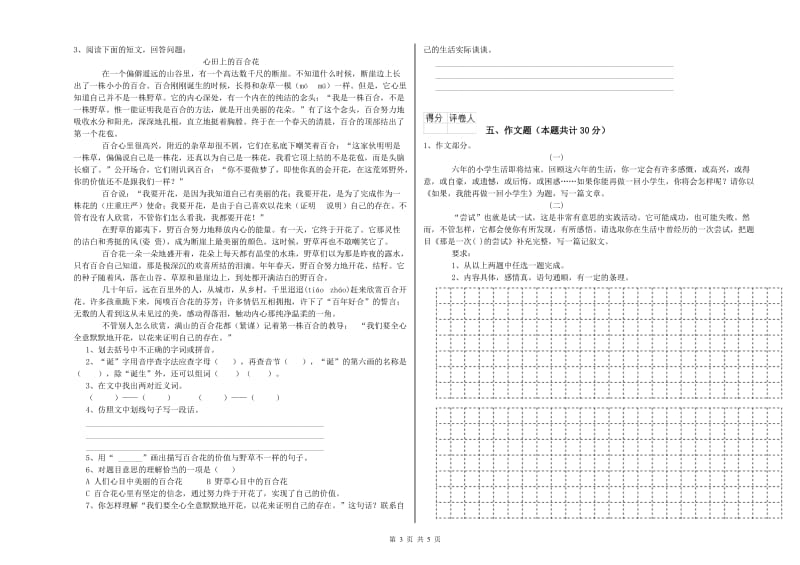 盘锦市重点小学小升初语文过关检测试卷 含答案.doc_第3页