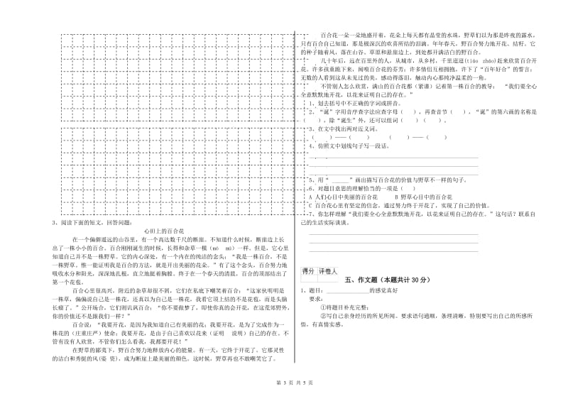 湖南省重点小学小升初语文综合检测试题D卷 含答案.doc_第3页