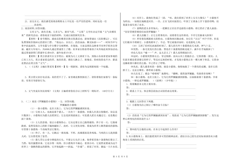 苏州市实验小学六年级语文【下册】能力检测试题 含答案.doc_第3页