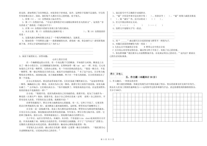 潮州市重点小学小升初语文考前练习试卷 附答案.doc_第3页