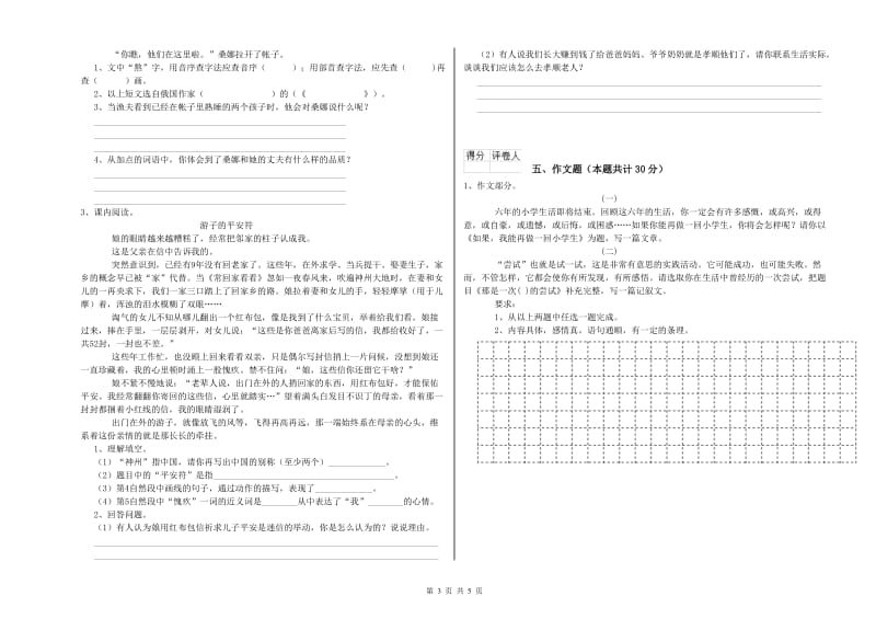 湛江市重点小学小升初语文强化训练试题 含答案.doc_第3页