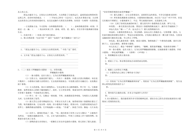 湘西土家族苗族自治州重点小学小升初语文提升训练试题 附解析.doc_第3页